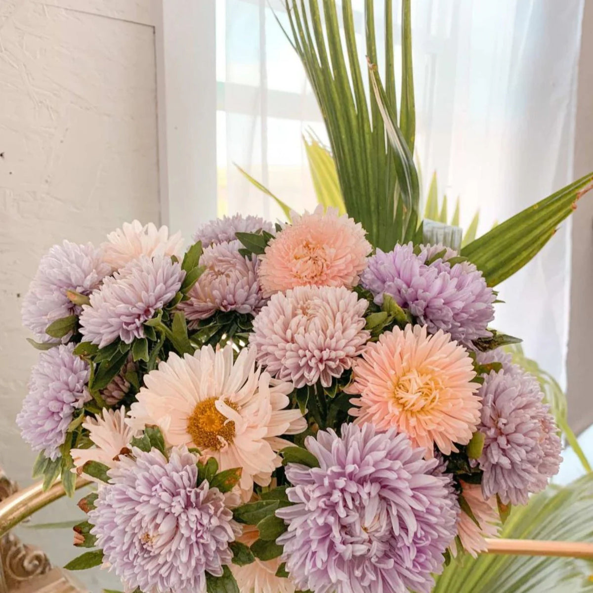20s | King Size Apricot Aster Seeds– Heirloom, Non-GMO, Colorful Autumn Blooms, Easy to Grow, Perfect for Fall Gardens, Pollinator-Friendly, Border Plants, Cut Flowers, and Cottage Gardens#8033