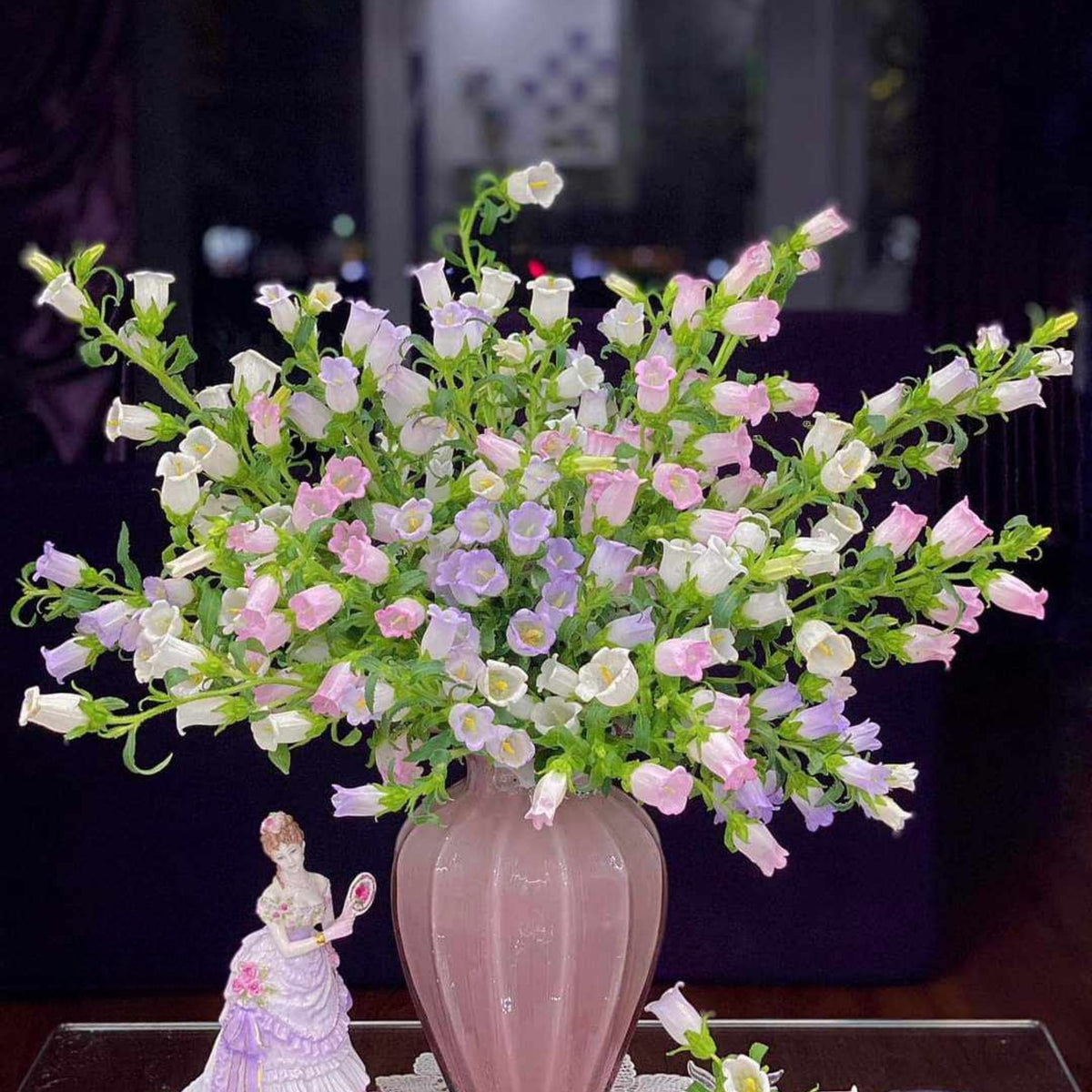 20s| Cup & Saucer Mixture Campanula Seeds - Bellflowers Seeds – Heirloom, Non-GMO, Easy to Grow Perennial, Perfect for Borders, Rock Gardens, Cottage Gardens, and Pollinator-Friendly Landscapes#8049