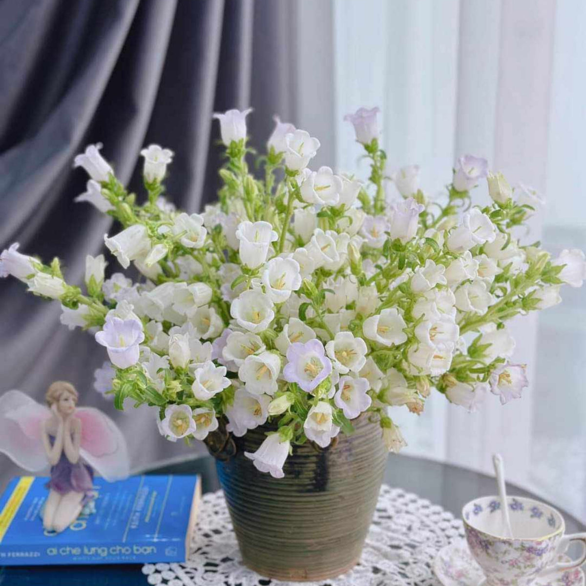 20s| Campanula Seeds - Cup & Saucer Mixture Seeds – Heirloom, Non-GMO, Easy to Grow Perennial, Perfect for Borders, Rock Gardens, Cottage Gardens, and Pollinator-Friendly Landscapes#8049
