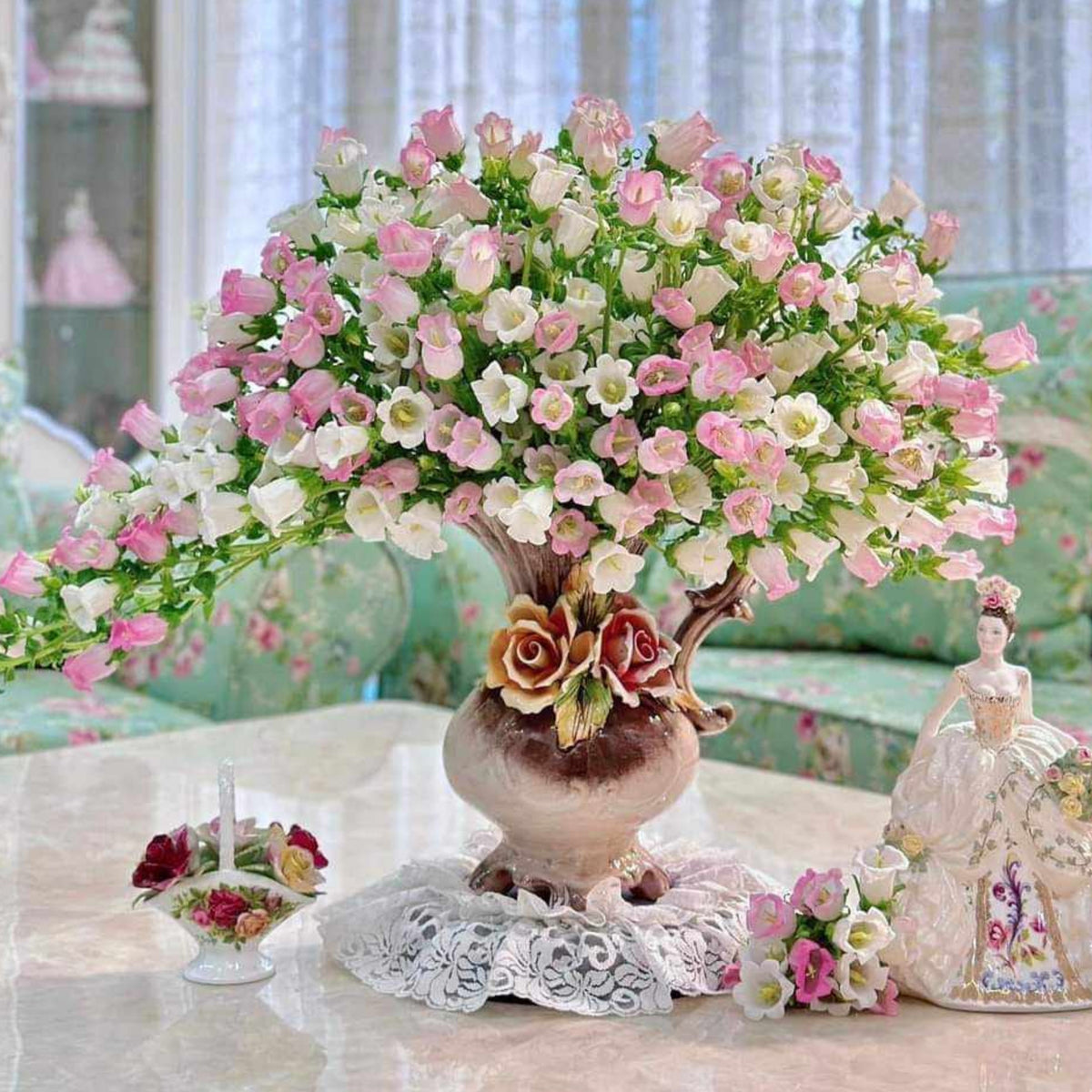 Cup & Saucer Mixture Campanula Seeds - Bellflowers Seeds, 20 seeds