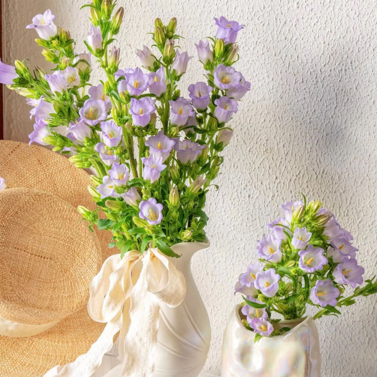 20s| Campanula Medium Champion Lavender Seeds – Heirloom, Non-GMO, Easy to Grow Perennial, Perfect for Borders, Rock Gardens, Cottage Gardens, and Pollinator-Friendly Landscapes#8060b
