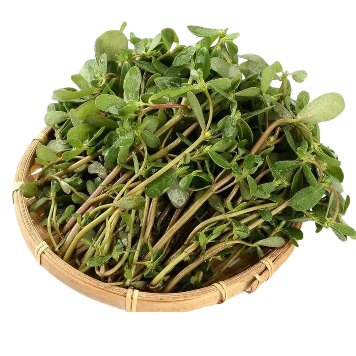 Portulaca Oleracea Seeds - Moss Rose Seeds, Purslanes Seeds, 30 seeds