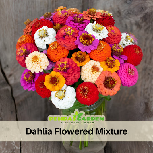 Zinnia Seeds - Flowered Mixture, 30 seeds