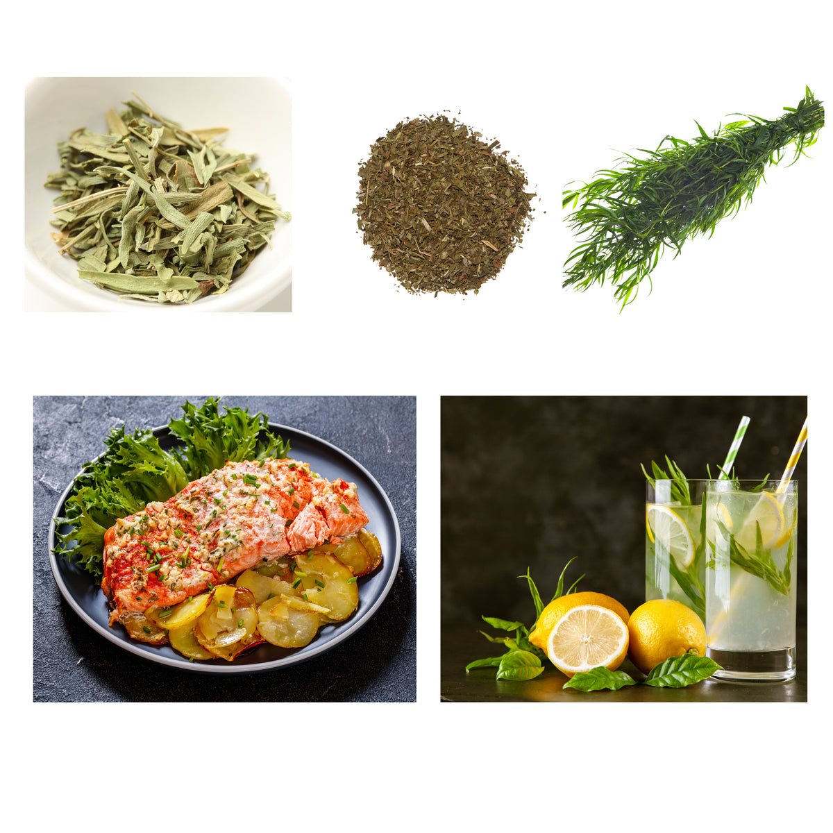 Tarragon Seeds