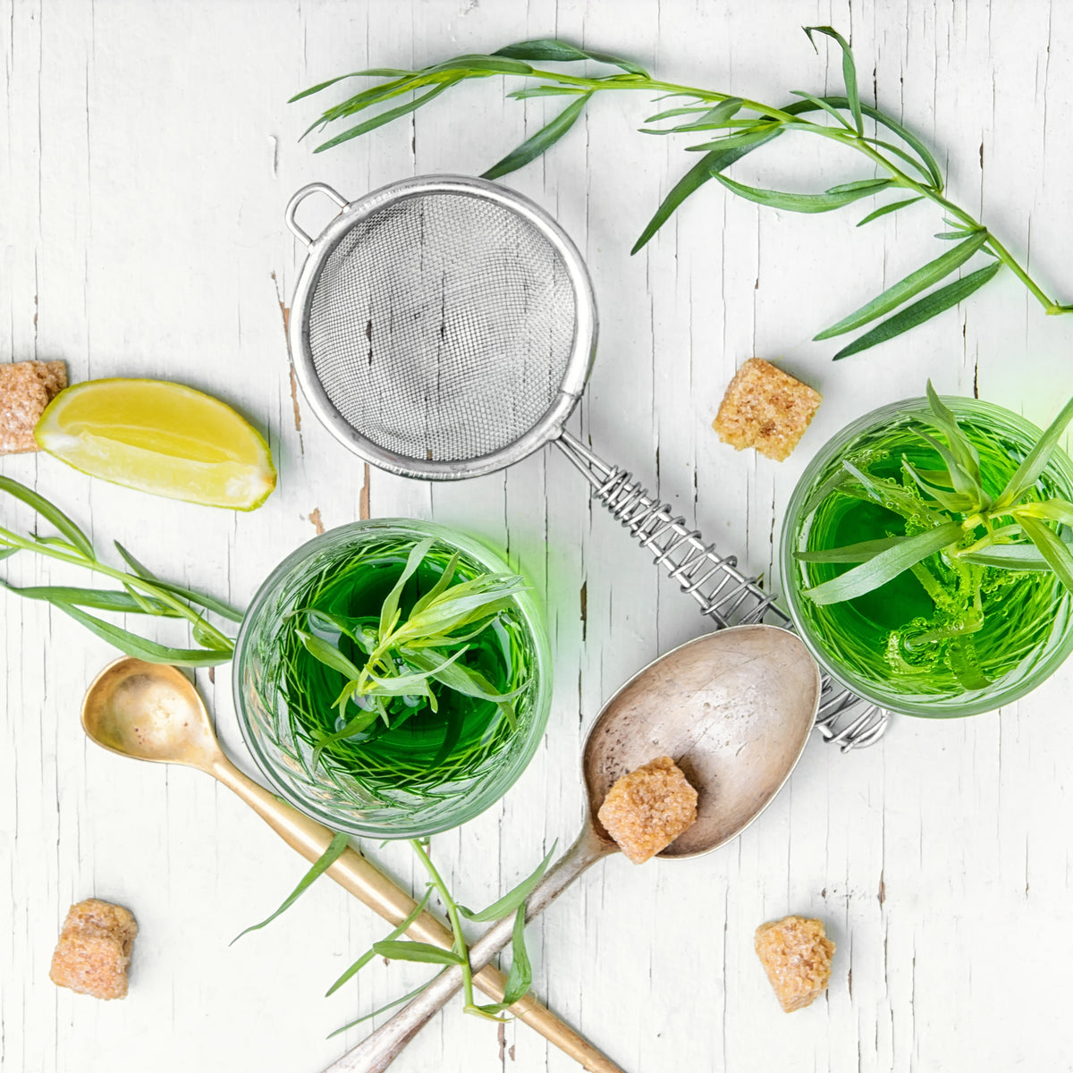 Tarragon Seeds
