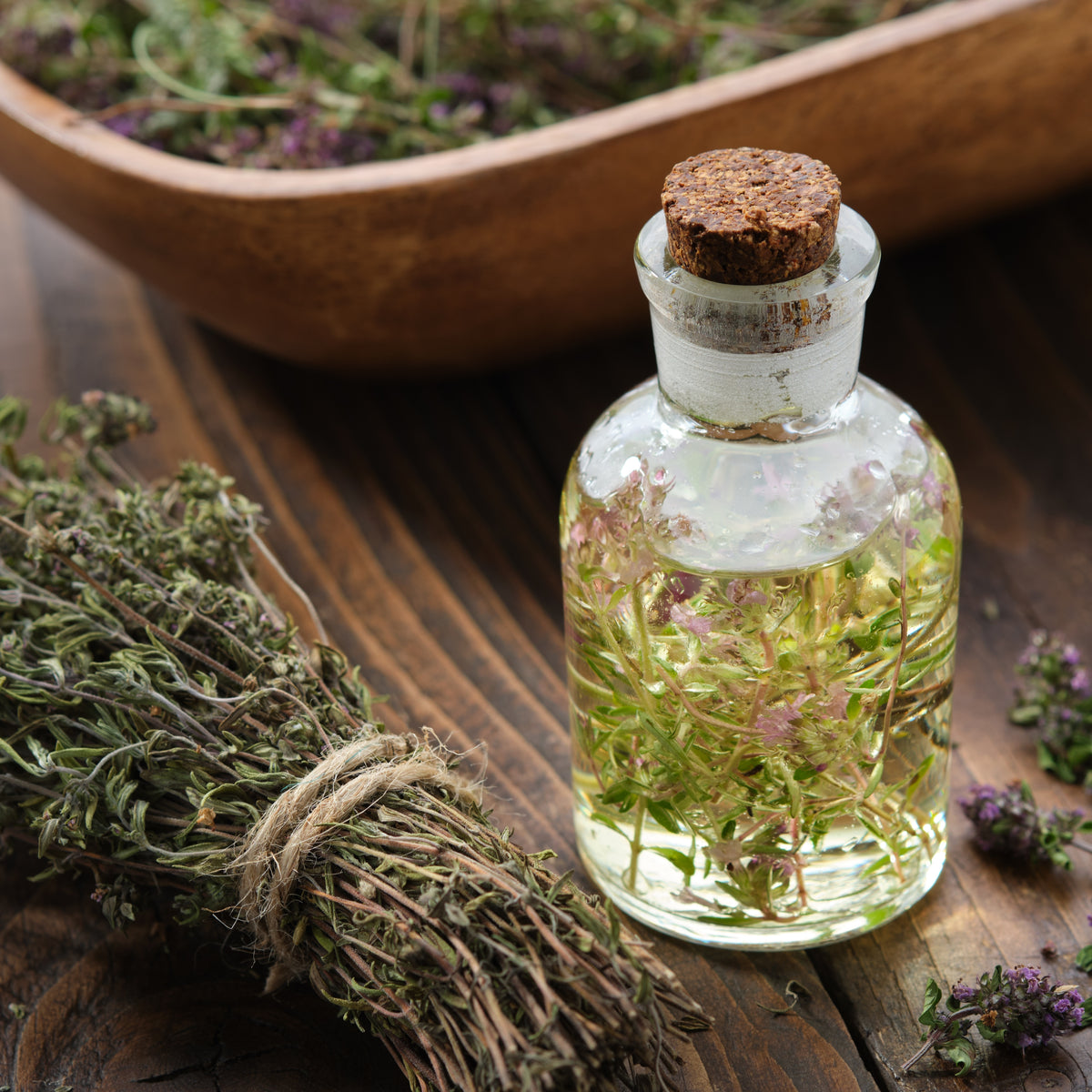 Thymus Vulgaris 'Common Thyme' Seeds