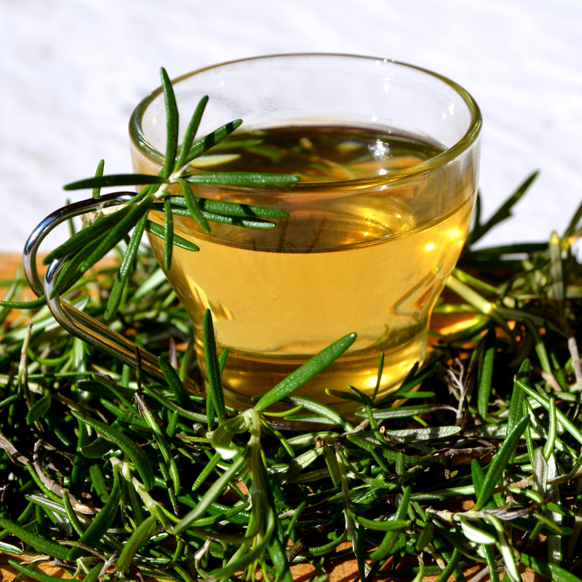 Rosmarinus Officinalis Seeds - Rosemary (Silvia Rosmarinus)