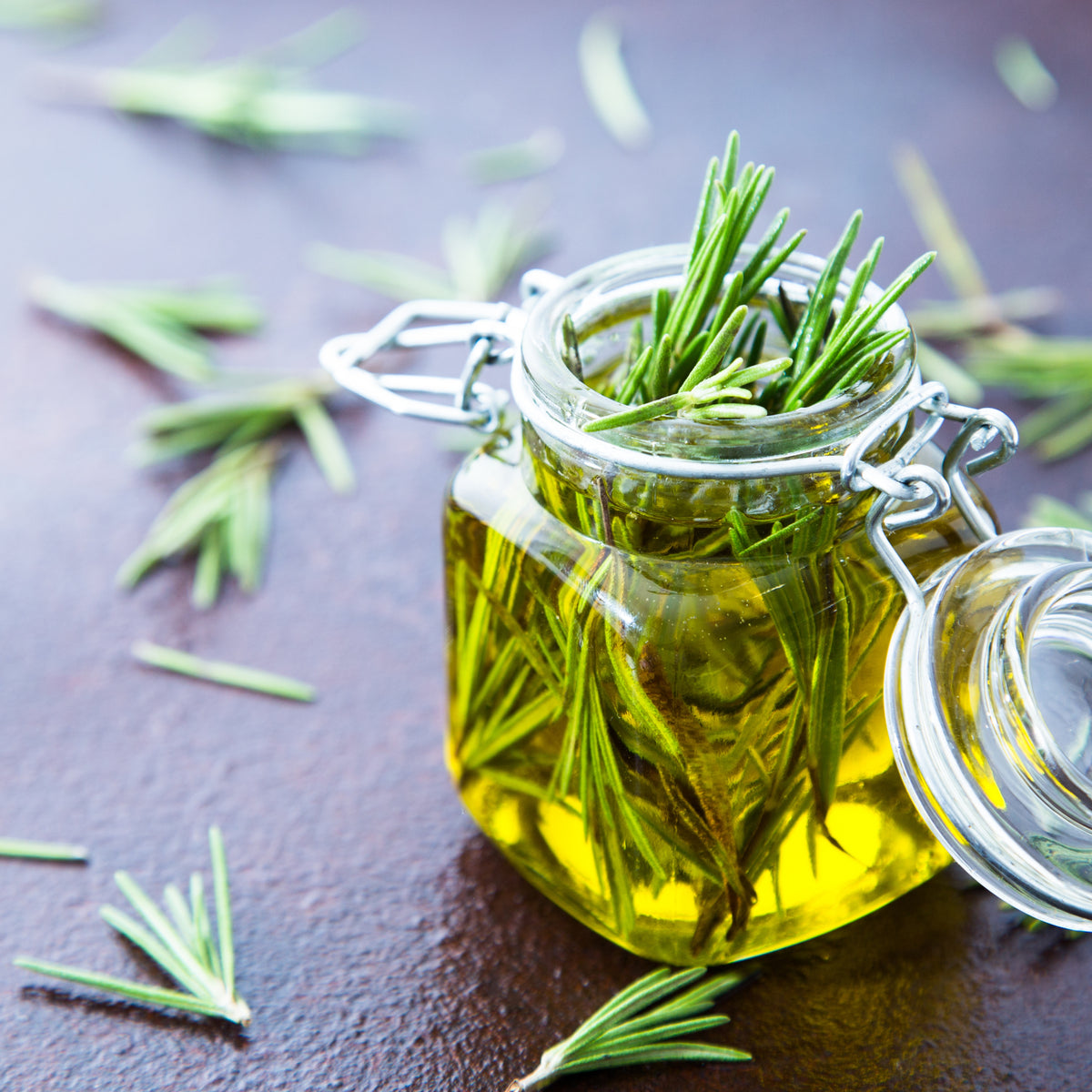 Rosmarinus Officinalis Seeds - Rosemary (Silvia Rosmarinus)