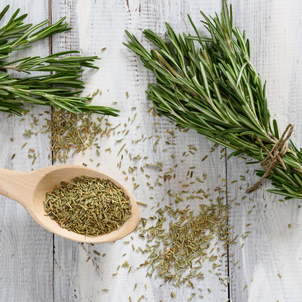 Rosmarinus Officinalis Seeds - Rosemary (Silvia Rosmarinus)