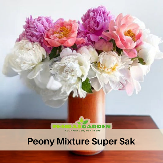 10+ Rare Seeds - Peony Mixture Super Sak Seeds