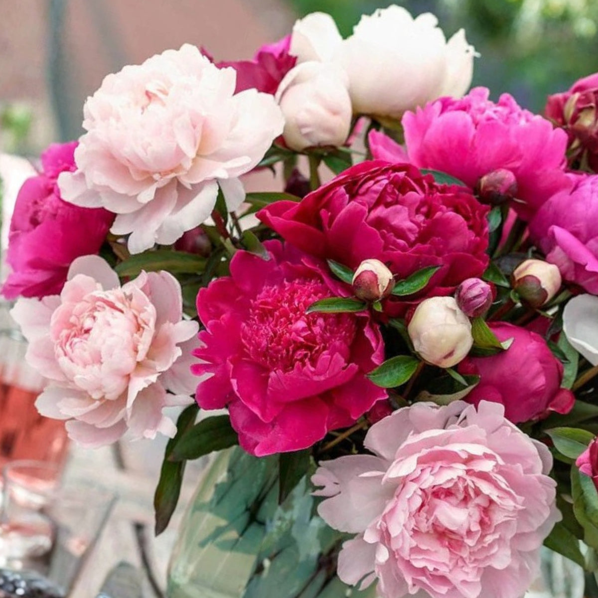 10+ Rare Seeds - Peony Mixture Super Sak Seeds