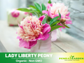 10+ Rare Seeds| Lady Liberty  Peony Seeds (Paeonia, Chinese Peony) – Double Blooms, Vibrant Garden Blooms, Romantic Perennial Blooms for Cottage Garden, Fragrant Cut Flowers, Easy to Grow#B023