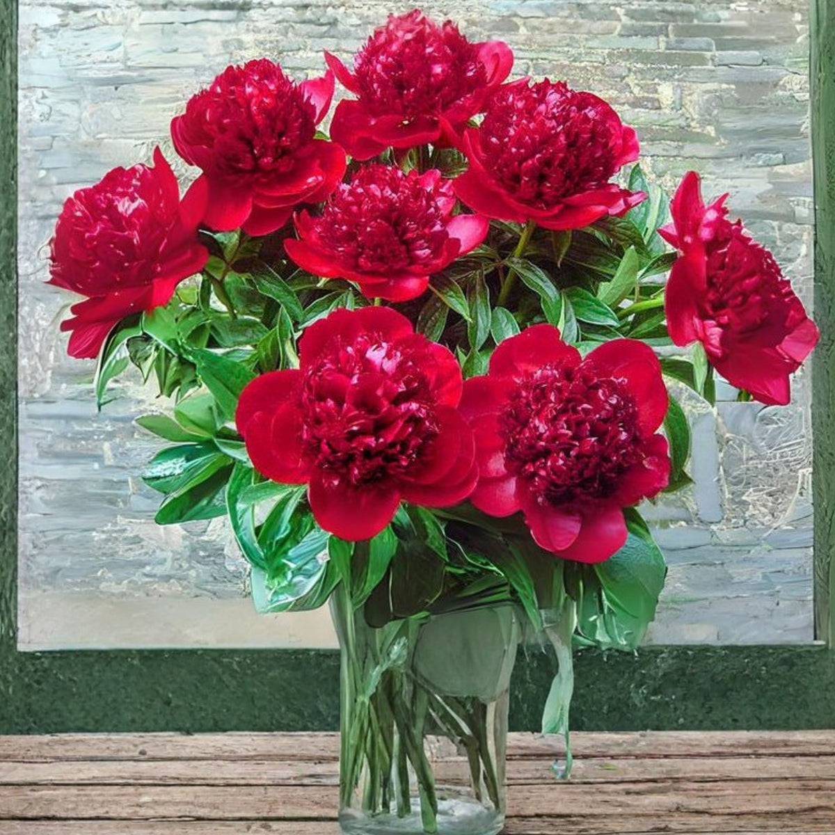 10+ Rare Seeds - Red Charm Peony Seeds (Paeonia, Chinese Peony)