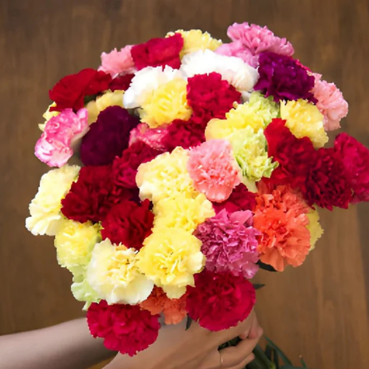 Mixed Color Carnations Seeds - Dianthus Seeds, 30 seeds