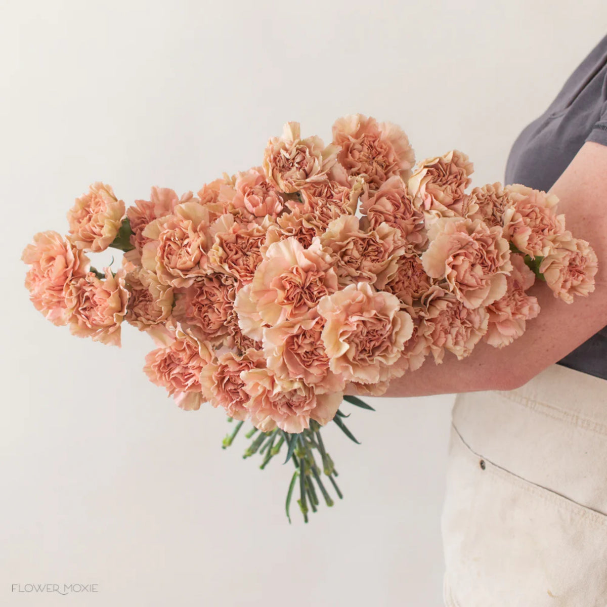 Toffee Beige Carnations Seeds - Dianthus Seeds, 30 seeds