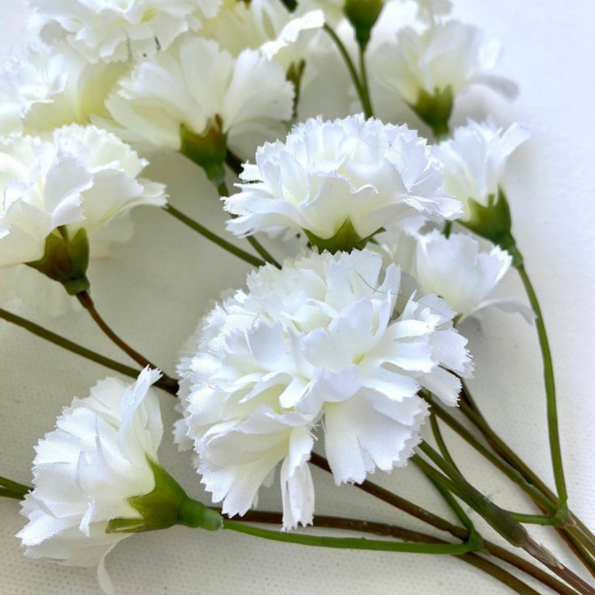 White Carnations Seeds - Dianthus Seeds, 30 seeds