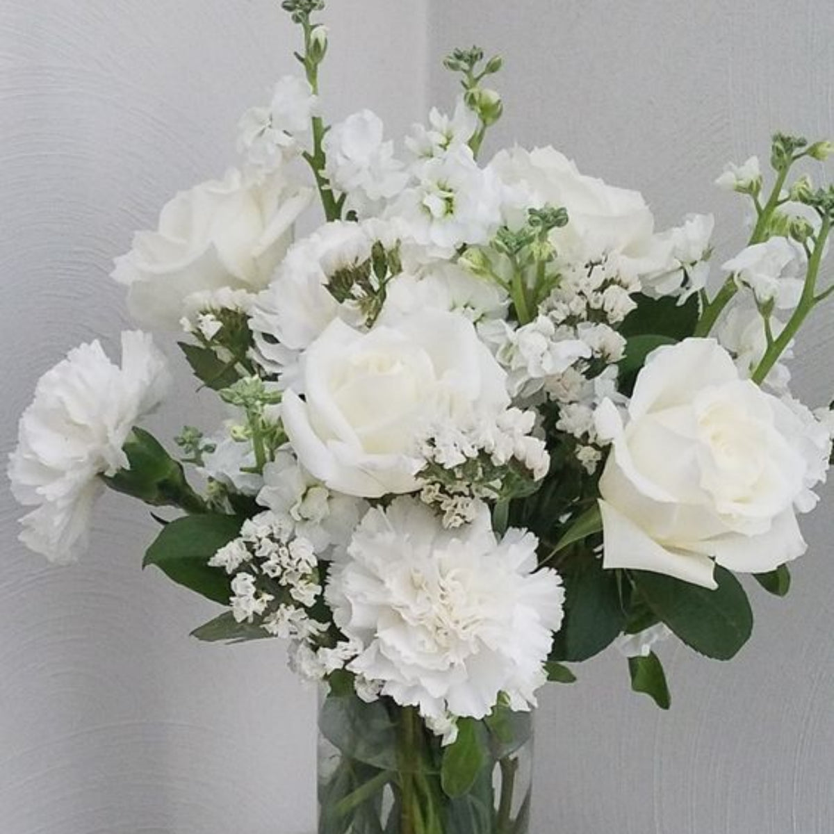 White Carnations Seeds - Dianthus Seeds, 30 seeds