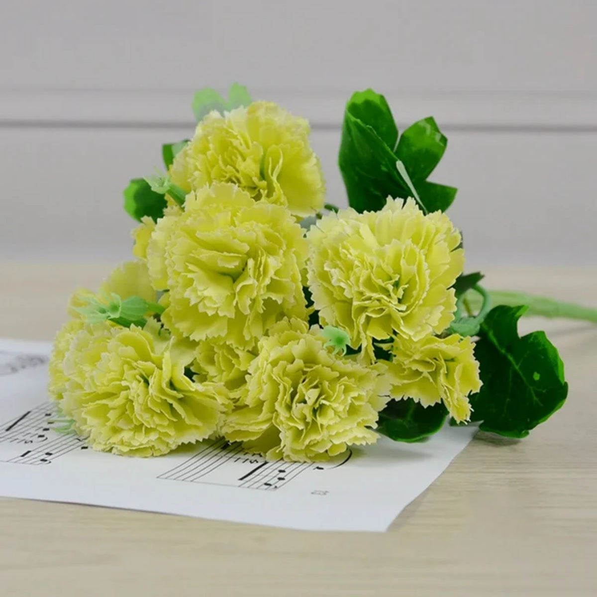 Fancy Green Carnations Seeds - Dianthus Seeds, 30 seeds