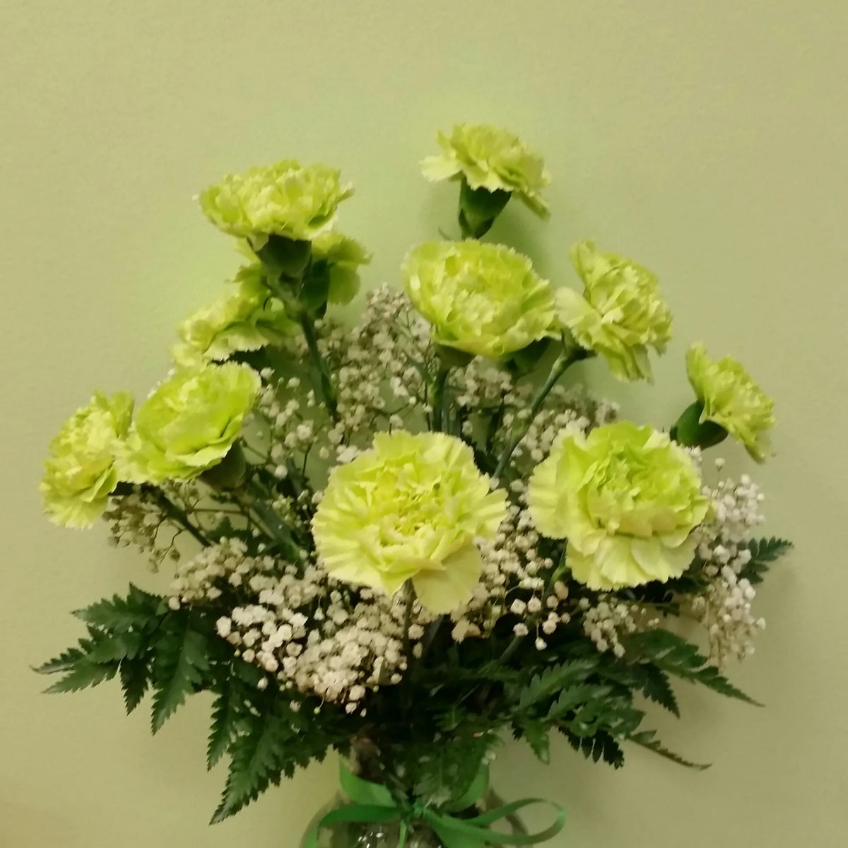 Fancy Green Carnations Seeds - Dianthus Seeds, 30 seeds