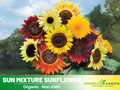 25+ Seeds-Sunflower Mixture Sunflower Seed #E001