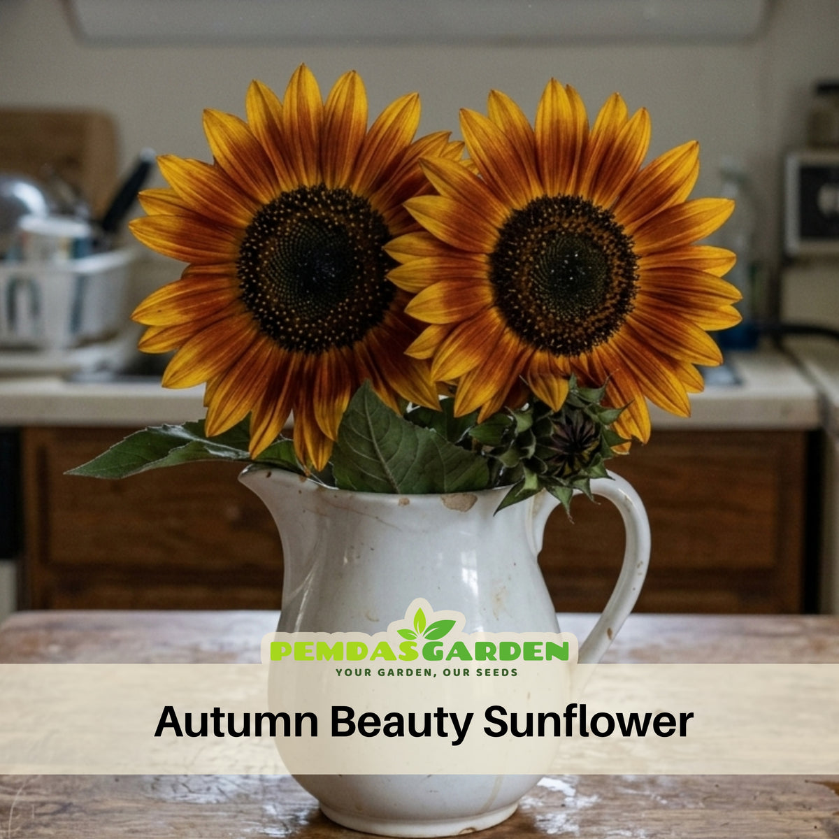 Autumn Beauty Sunflower Seeds - Attracts Bees & Butterflies, 25+ seeds