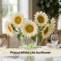 25+ Seeds| ProCut White Lite Sunflower Seeds - Helianthus Tall Giant and Dwarf Varieties for Garden Pollinator Friendly Easy to Grow, Fast growing, Attracts bees & butterflies #E008