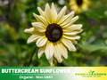25+ Seeds| Buttercream Sunflower Seeds - Helianthus Tall Giant and Dwarf Varieties for Garden Pollinator Friendly Easy to Grow, Fast growing, Attracts bees & butterflies #E018