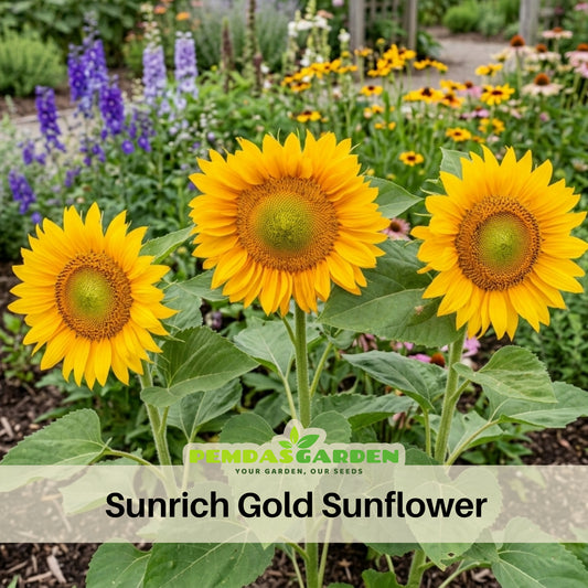 Sunrich Gold Sunflower Seeds - Attracts Bees & Butterflies, 25+ seeds