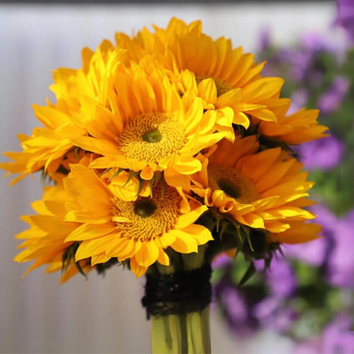 Sunrich Gold Sunflower Seeds - Attracts Bees & Butterflies, 25+ seeds