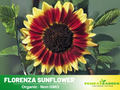 25+ Seeds| Florenza Sunflower Seeds - Helianthus Tall Giant and Dwarf Varieties for Garden Pollinator Friendly Easy to Grow, Fast growing, Attracts bees & butterflies #E021