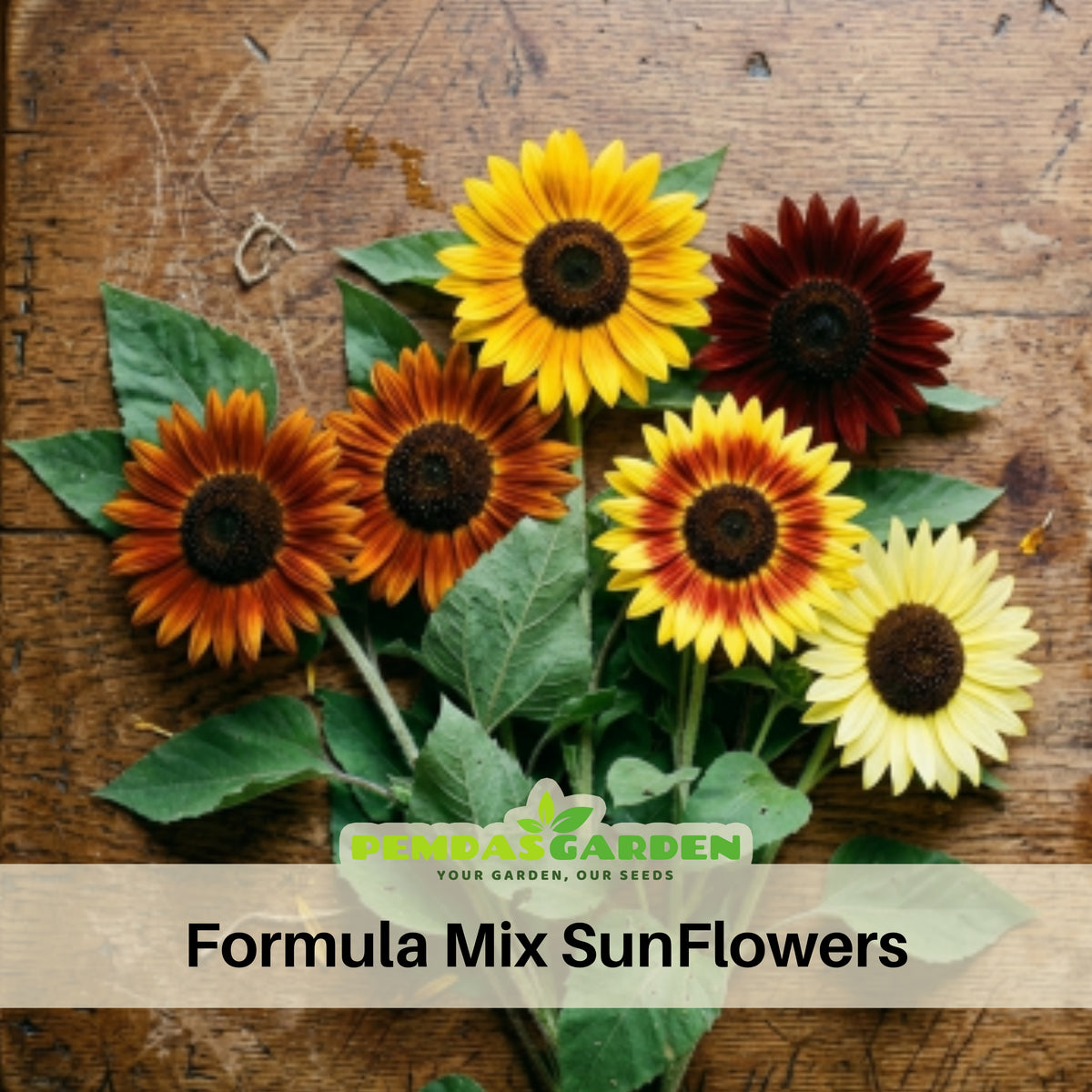 Formula Mix Sunflower Seeds - Attracts Bees & Butterflies, 25+ seeds