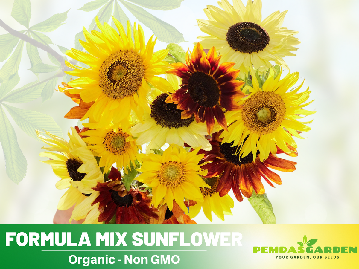 25+ Seeds-Formula Mix Sunflower Seeds #E027