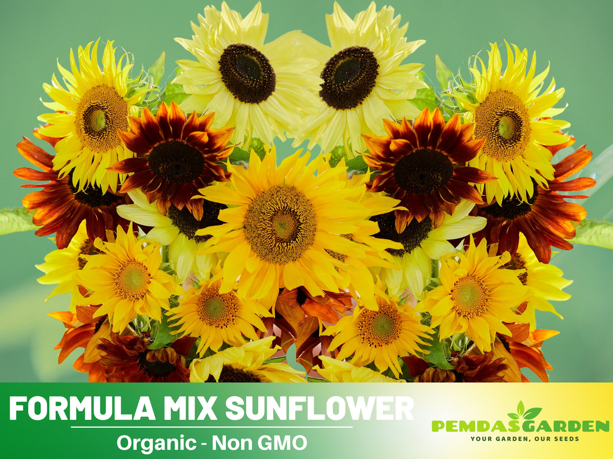 25+ Seeds-Formula Mix Sunflower Seeds #E027