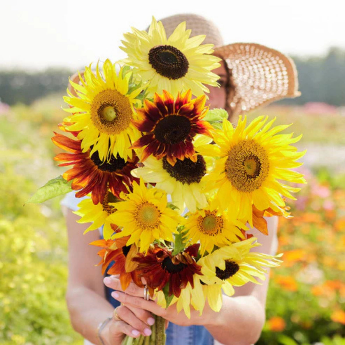 Formula Mix Sunflower Seeds - Attracts Bees & Butterflies, 25+ seeds