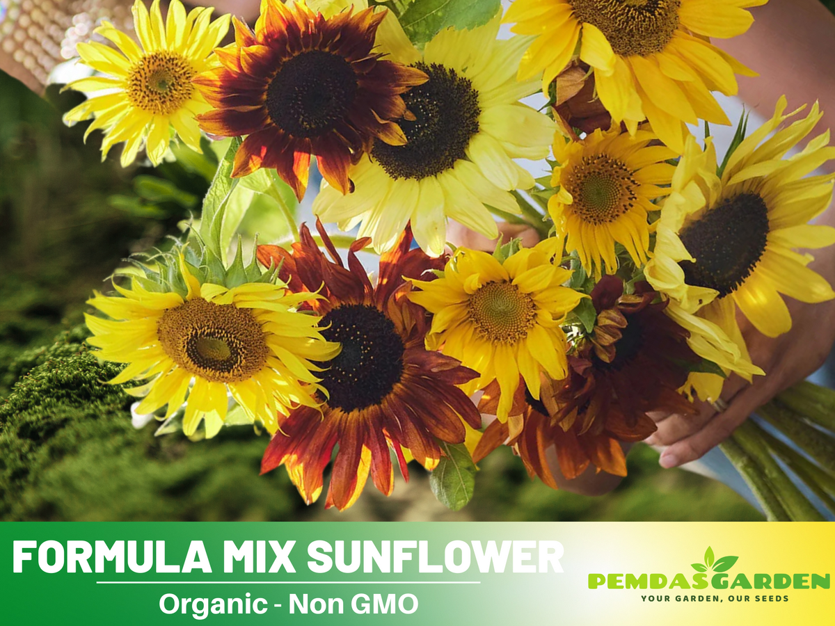 25+ Seeds-Formula Mix Sunflower Seeds #E027