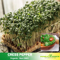 505 Seeds| Cress Pepper Seeds - Garden Cress -Heirloom – Non-GMO – Fast Growing – Peppery Flavor – Microgreens – Baby Greens – Easy to Grow – Cool Season – Fresh Eating – Garden to Table#6023