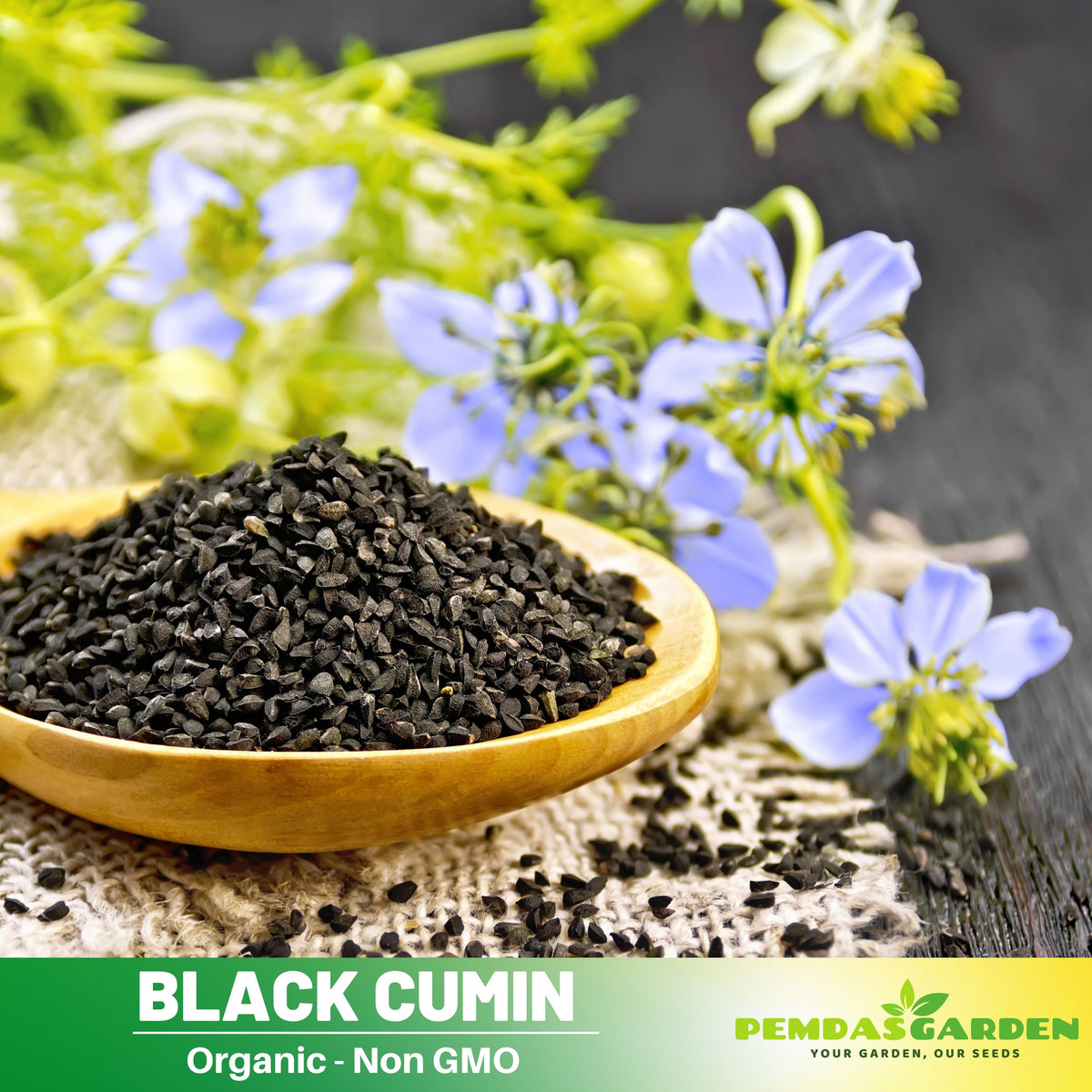 kalonji seeds plant 55 Seeds| Black Cumin Seeds – Charnushska Nigella sativa, Heirloom, No – PEMDASGARDEN