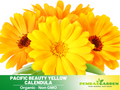 50+ Seeds| Pacific Beauty Yellow Calendula Seeds (Pot Marigold) – Colorful Heirloom Edible Flower Seeds, Easy to Grow Annual Blooms for Gardens, Pots & Landscaping#H001