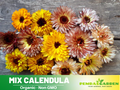 50+ Seeds| Sunset Mix Calendula Seeds (Calendula officinalis) – Pot Marigold - Flower & Herb Seeds – Colorful Heirloom Edible Flower Seeds, Easy to Grow Annual Blooms for Gardens, Pots & Landscaping, Ornamental flowers, Attracts pollinators#H004