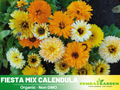 50+ Seeds| Fiesta Gitana Calendula Seeds (Calendula officinalis) – Pot Marigold - Flower & Herb Seeds – Colorful Heirloom Edible Flower Seeds, Easy to Grow Annual Blooms for Gardens, Pots & Landscaping, Ornamental flowers, Attracts pollinators#H006