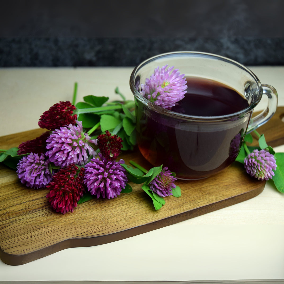 Medium Red Clover Seeds - Grass & Groundcover Seeds, 40+ seeds