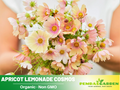 50+ Seeds| Apricot Lemonade Cosmos Seeds - Colorful Annual Flower Easy to Grow Pollinator Friendly for Garden Borders Containers and Cut Flowers , Drought Tolerant, Cut Flower, Attracts bees & butterflies #L006