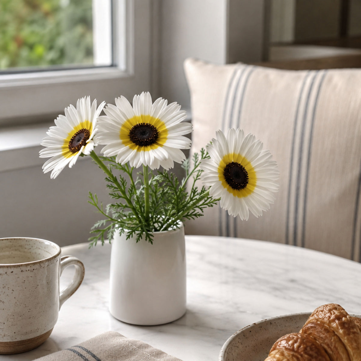 Polar Star Chrysanthemum Flower Seeds, 50 seeds