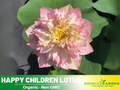 5+ Rare Seeds| Happy Children Lotus Seeds – Sacred Indian Lotus (Nelumbo nucifera), Aquatic Perennial Water Plant, Fragrant Blooms, Edible Roots & Seeds, Egyptian Lotus, Ornamental Pond & Container Gardening #Q053