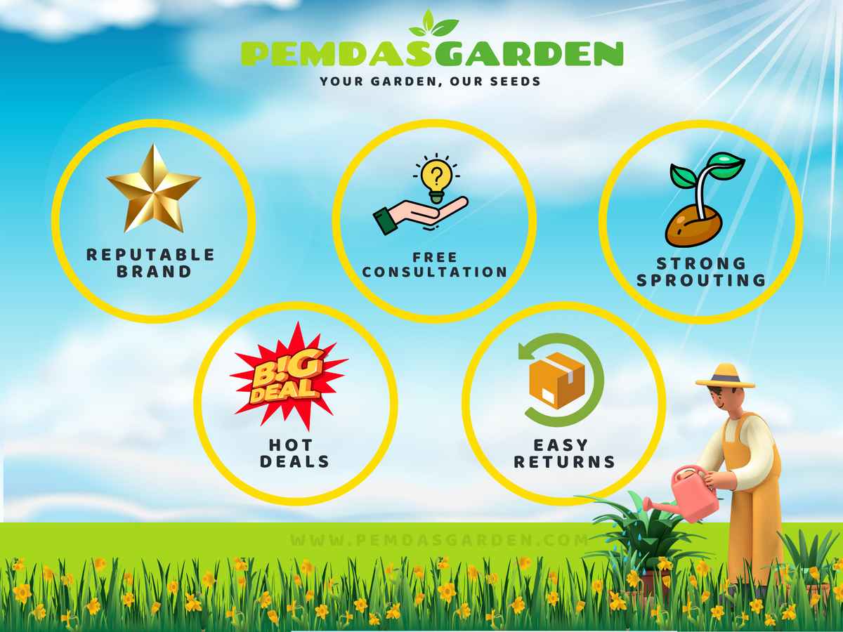 5+ Rare Seeds - Edible Seeds & Roots, Egyptian Lotus