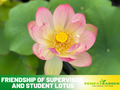 5+ Rare Seeds| Friendship Of Supervisor and Student LotusSeeds - Indian Lotus (Nelumbo nucifera) Seeds– Indian Lotus (Nelumbo nucifera), Sacred Aquatic Perennial with Fragrant Flowers, Edible Seeds & Roots, Ornamental Pond & Container Plant #Q055