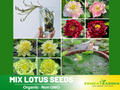 5+ Rare Seeds| Mix Lotus Seeds - Indian Lotus (Nelumbo nucifera) Seeds - Aquatic Perennial Water Plant with Fragrant Flowers, Edible Seeds & Roots, Egyptian Lotus, Bean of India, Ornamental Pond & Container Plant#Q069