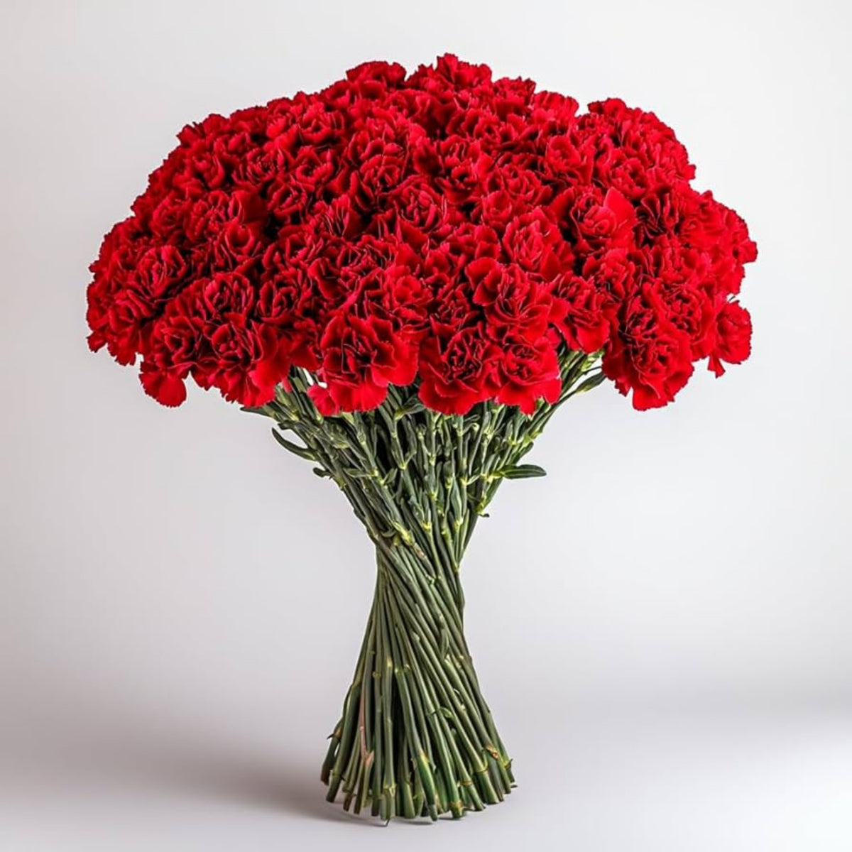 Red Carnations Seeds - Dianthus Seeds, 30 seeds