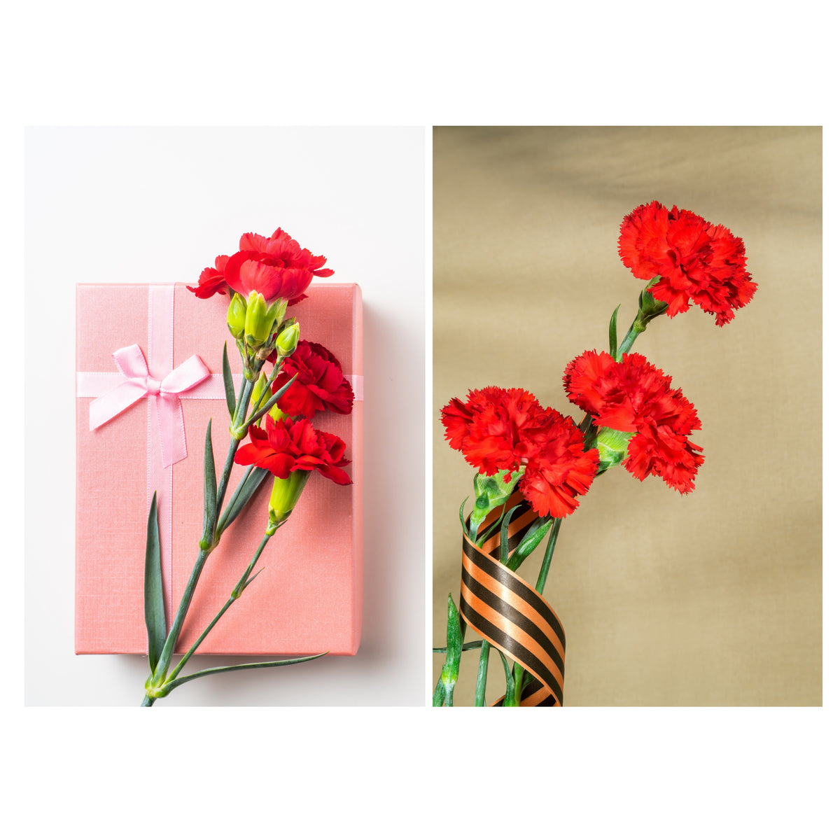 Red Carnations Seeds - Dianthus Seeds, 30 seeds