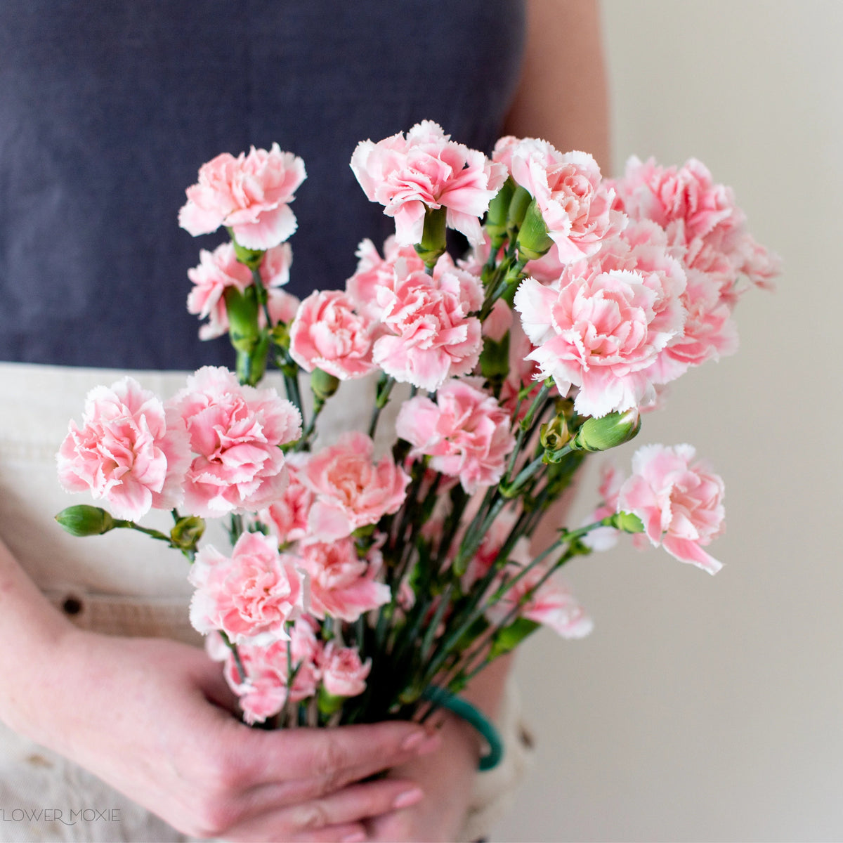 Light Pink Mini Carnation Seeds - Dianthus Seeds, 30 seeds